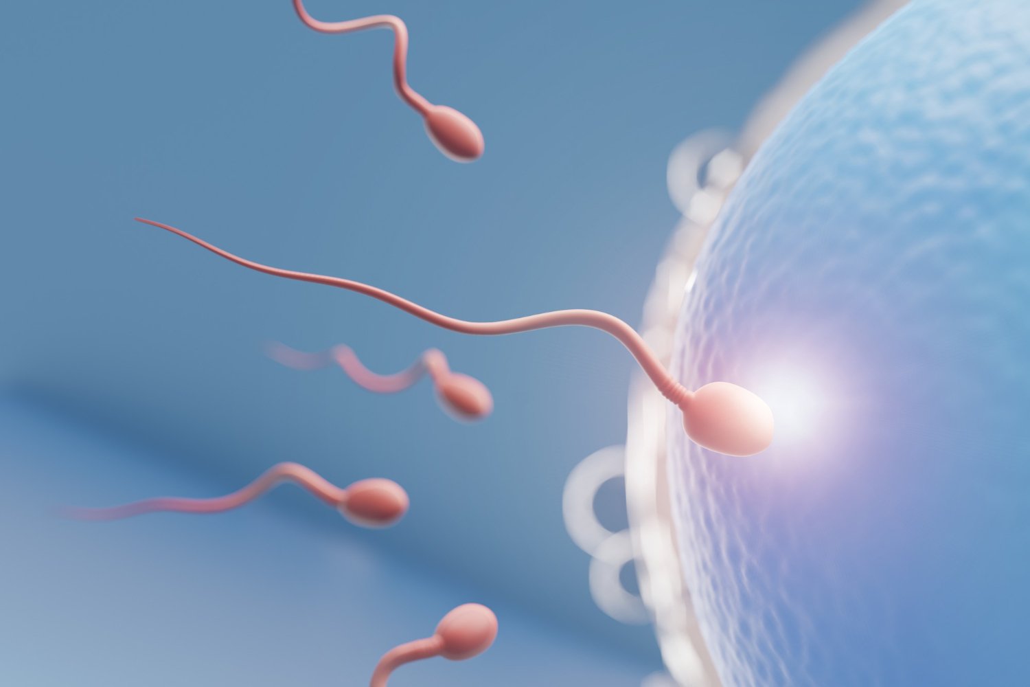 best fertility hospital in Vadodara.